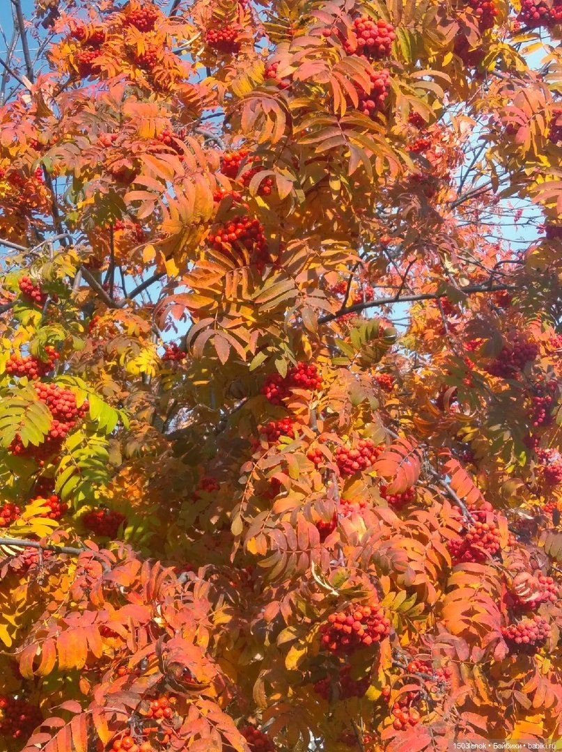 Солнышко — Лепка авторских игрушек и папье (фото 10)