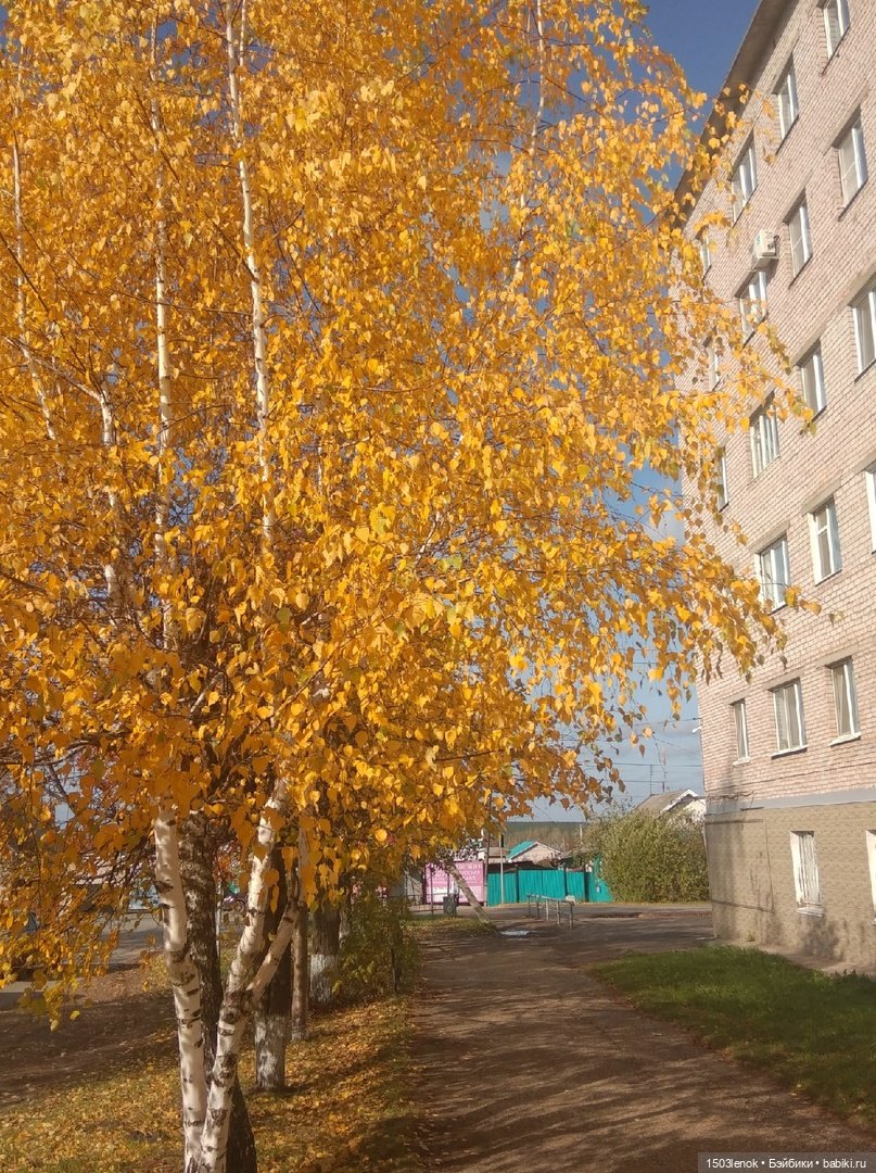 Солнышко — Лепка авторских игрушек и папье