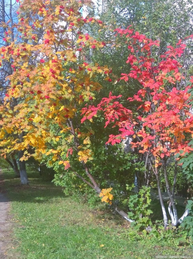 Солнышко — Лепка авторских игрушек и папье