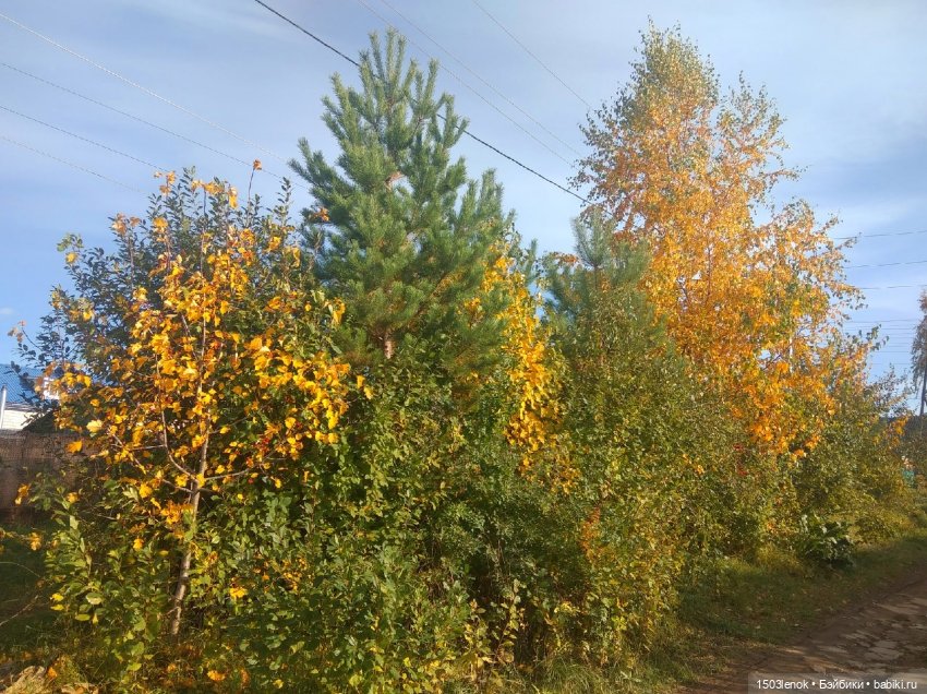 Солнышко — Лепка авторских игрушек и папье (фото 8)