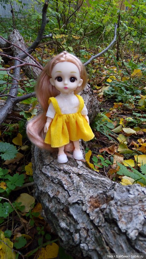 Крошка Баболи на прогулке