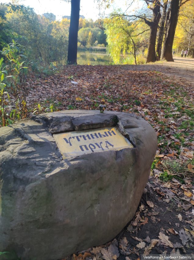 Мишка в лесу, а так же зайка и лиса 😁