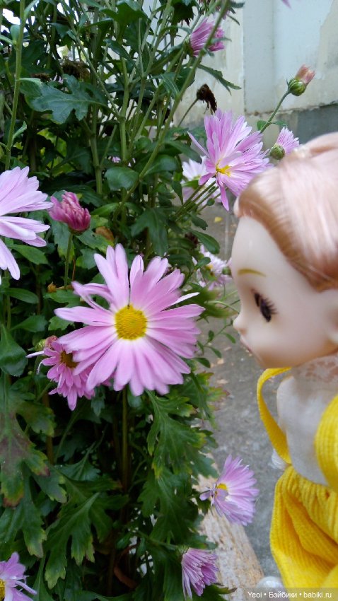 Крошка Баболи на прогулке