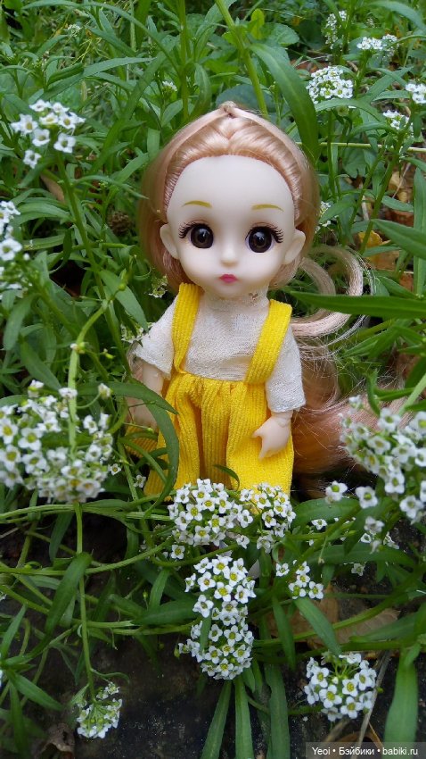 Крошка Баболи на прогулке