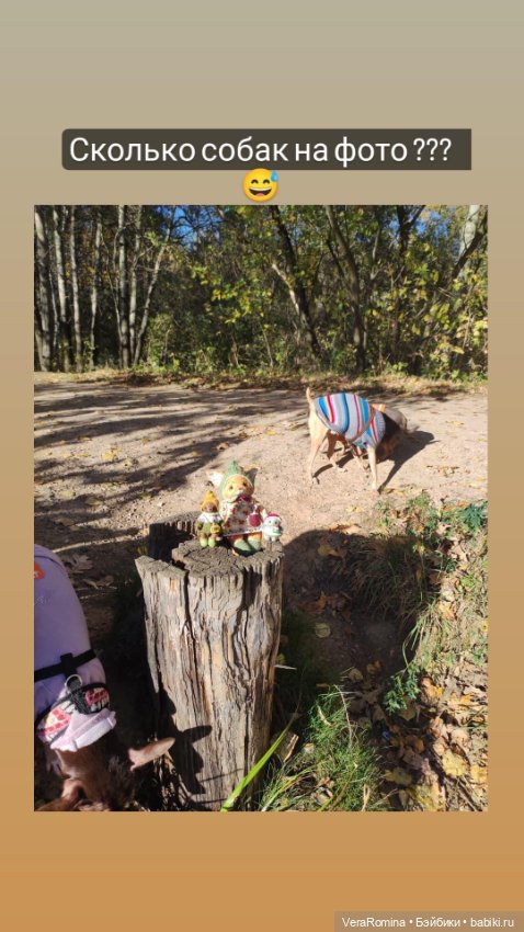 Мишка в лесу, а так же зайка и лиса 😁