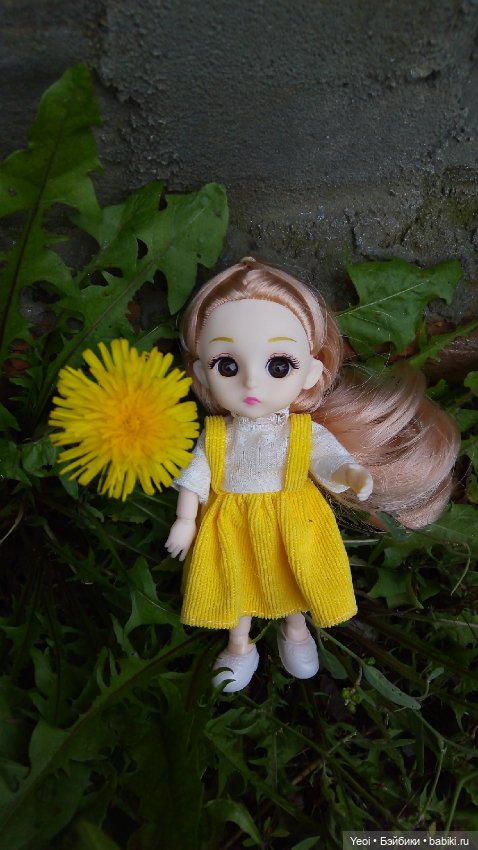 Крошка Баболи на прогулке