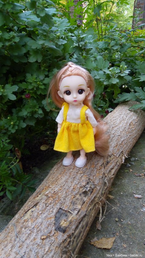 Крошка Баболи на прогулке (фото 9)