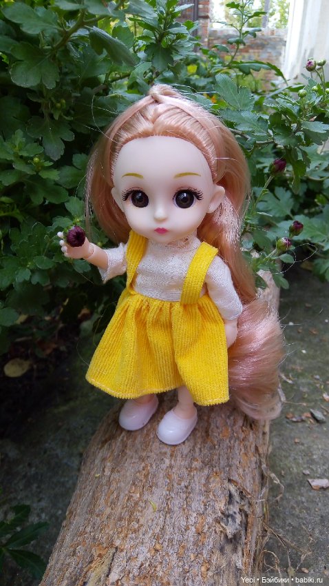 Крошка Баболи на прогулке (фото 10)