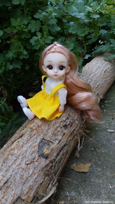 Крошка Баболи на прогулке (фото 8)