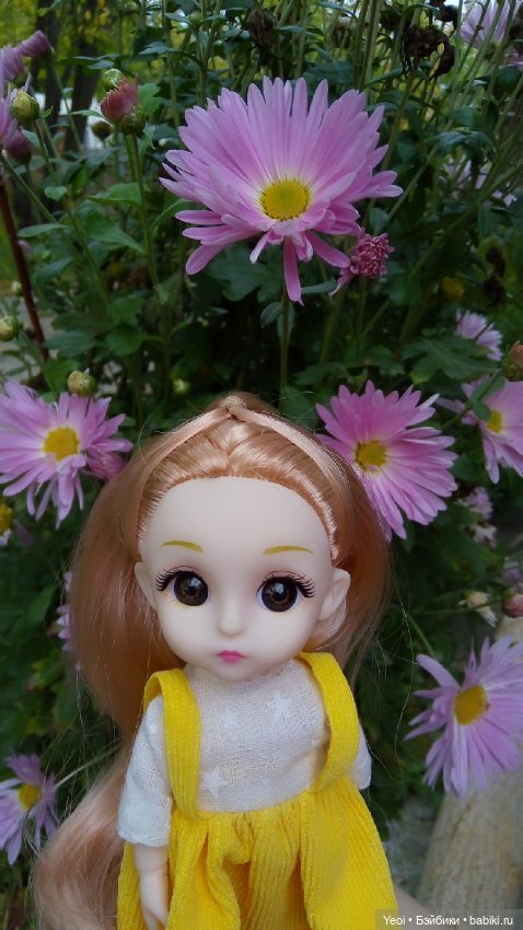 Крошка Баболи на прогулке