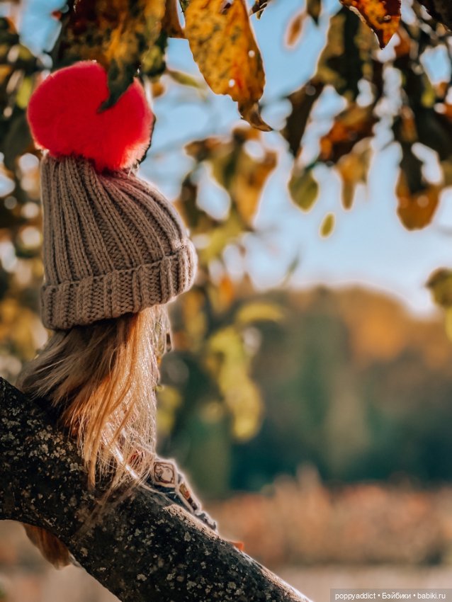 Любимица. Осенняя прогулка