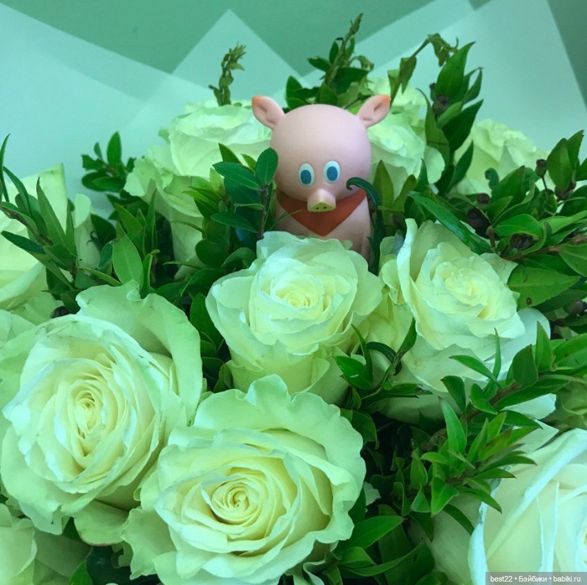 Поросенок Ву — Игровые куклы разных производителей (Разное): редкие бренды (фото 2)