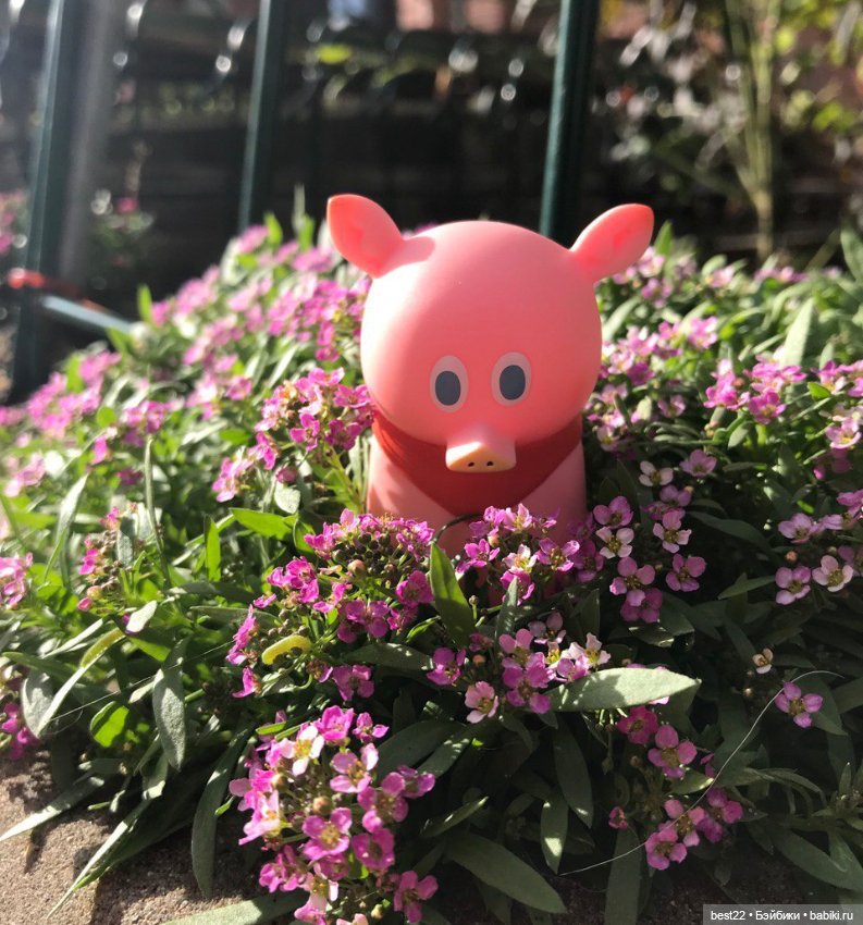 Поросенок Ву — Игровые куклы разных производителей (Разное): редкие бренды (фото 7)