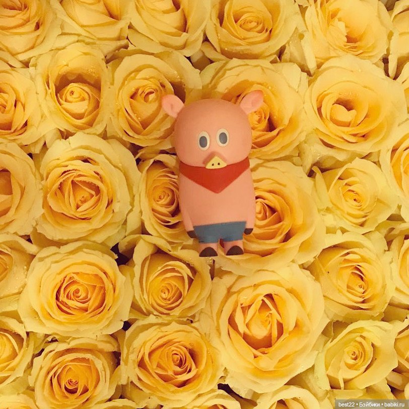 Поросенок Ву — Игровые куклы разных производителей (Разное): редкие бренды (фото 10)