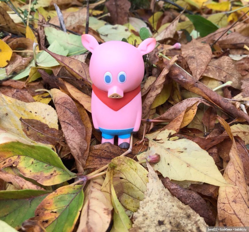 Поросенок Ву — Игровые куклы разных производителей (Разное): редкие бренды (фото 4)