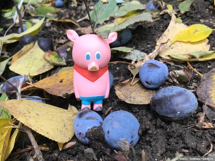 Поросенок Ву — Игровые куклы разных производителей (Разное): редкие бренды