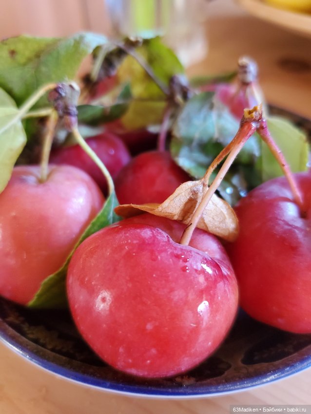 Яблоки Аманды — Игровые куклы разных производителей (Разное): редкие бренды (фото 9)