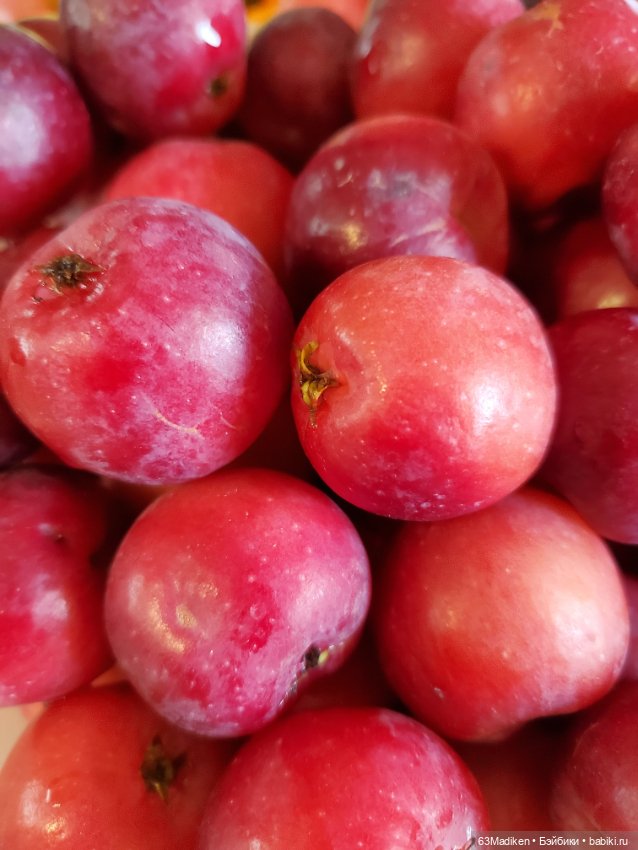 Яблоки Аманды — Игровые куклы разных производителей (Разное): редкие бренды (фото 10)