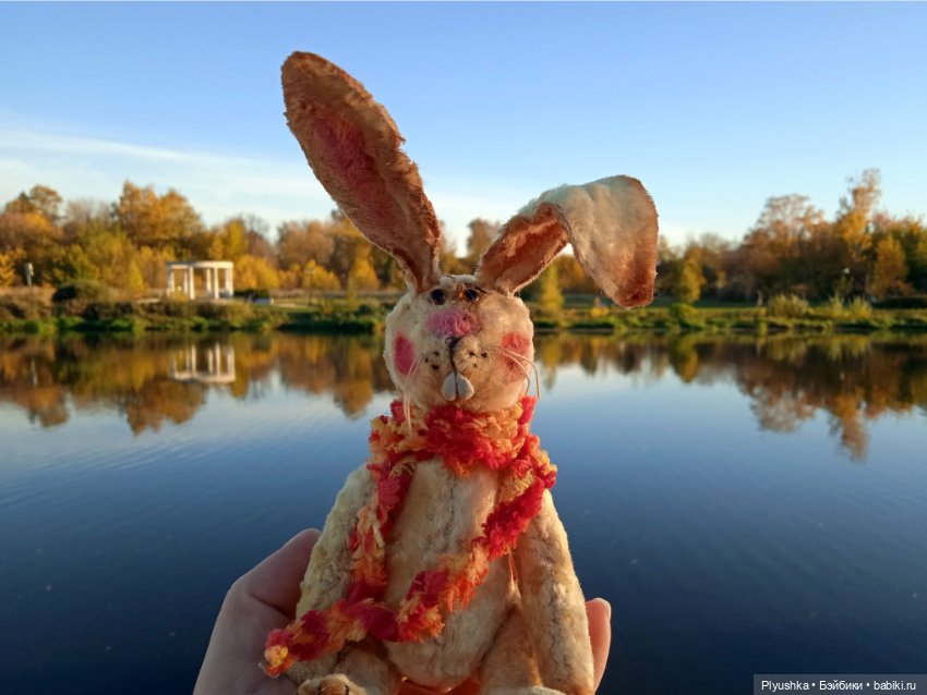 Самый солнечный, самый осенний Заяц (фото 9)