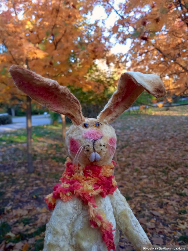 Самый солнечный, самый осенний Заяц (фото 4)