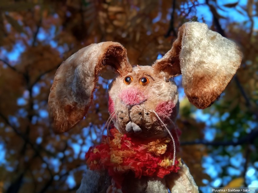 Самый солнечный, самый осенний Заяц (фото 5)