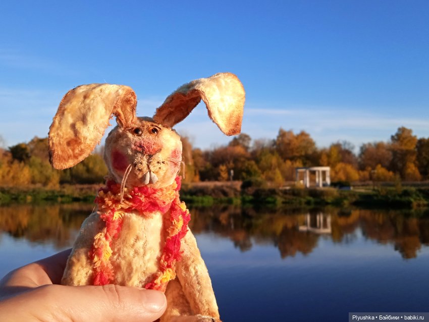 Самый солнечный, самый осенний Заяц