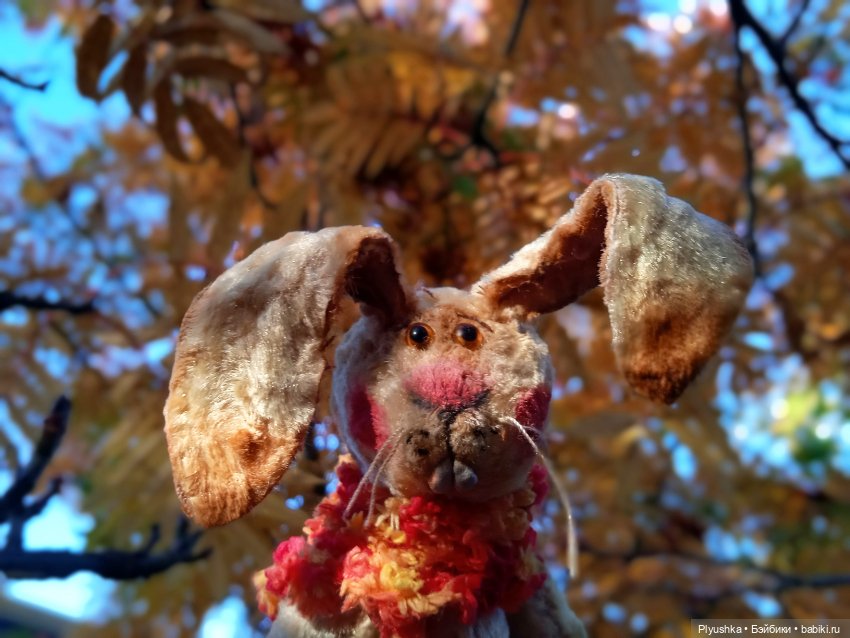 Самый солнечный, самый осенний Заяц (фото 7)