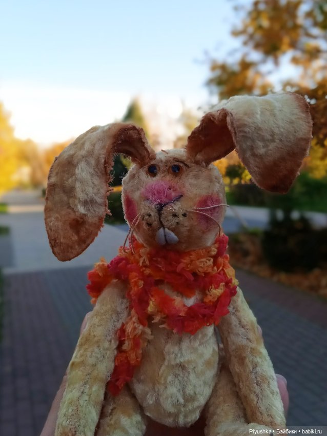 Самый солнечный, самый осенний Заяц