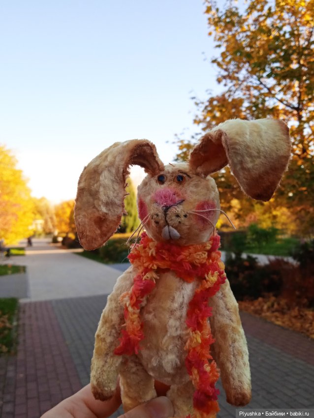 Самый солнечный, самый осенний Заяц