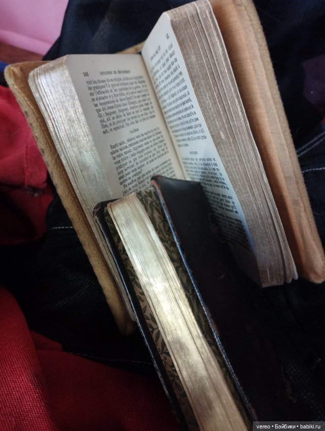 Мила. Поразила запредельным уровнем интеллекта (фото 8)