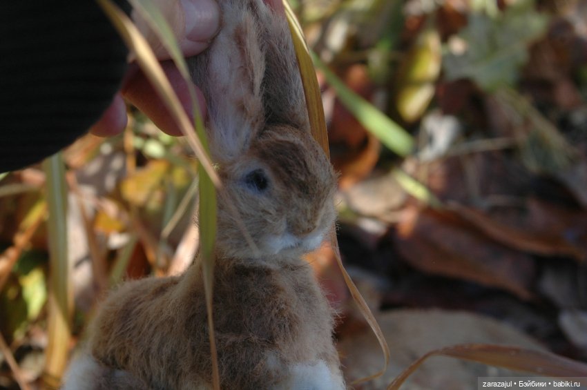 Маленький зайчик. Осенняя встреча (фото 7)