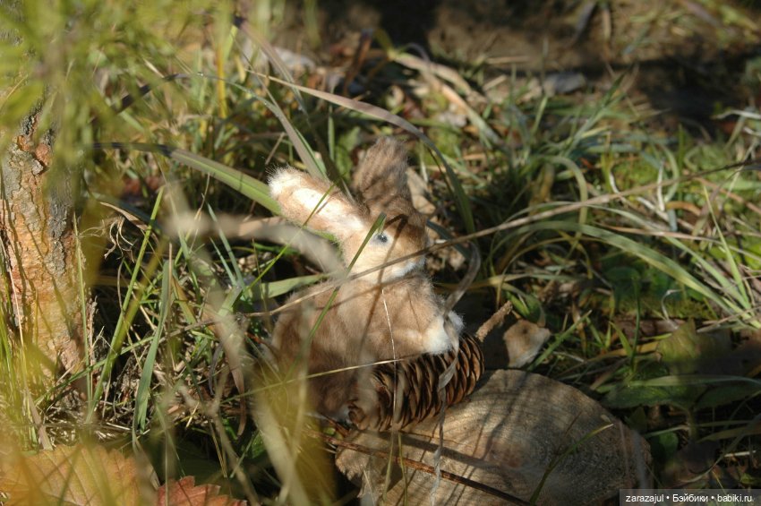 Маленький зайчик. Осенняя встреча (фото 10)