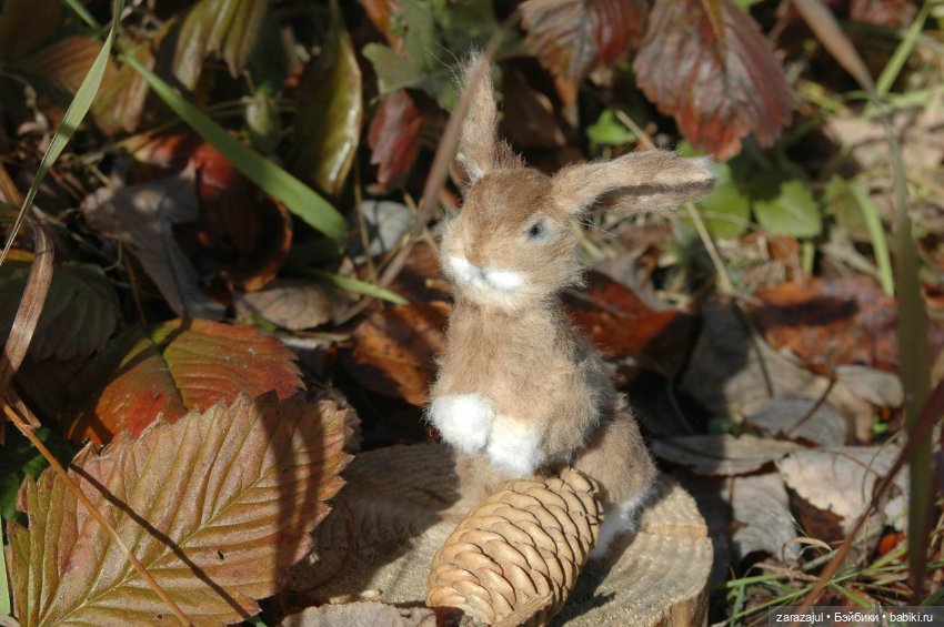 Маленький зайчик. Осенняя встреча (фото 9)