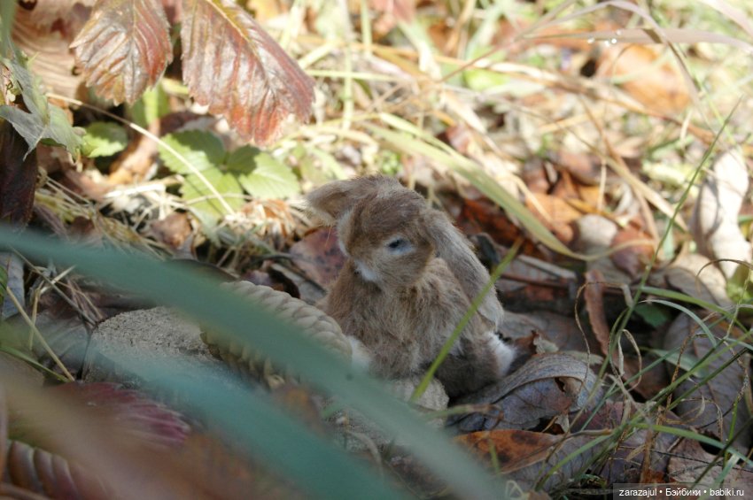 Маленький зайчик. Осенняя встреча (фото 2)