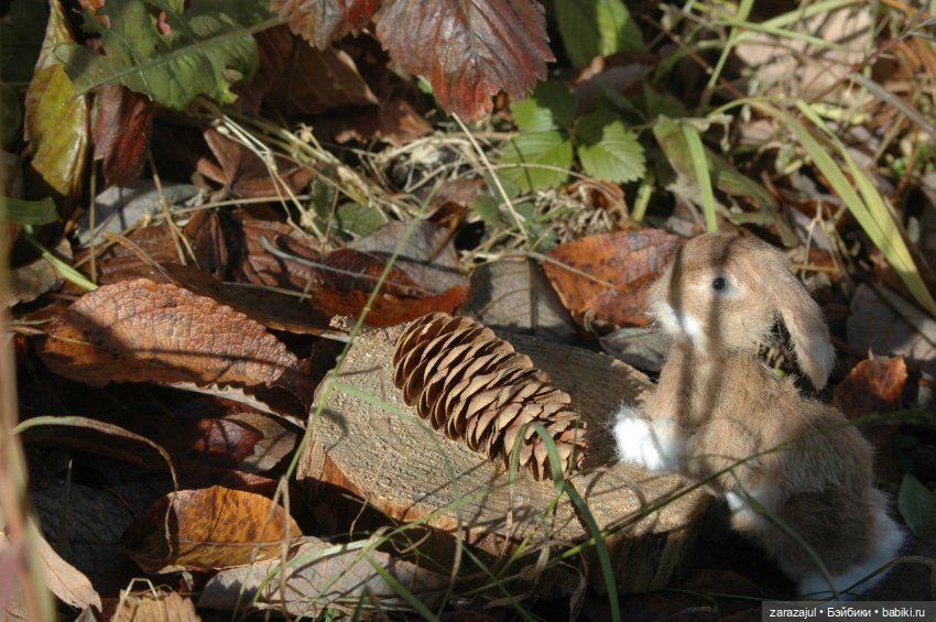 Маленький зайчик. Осенняя встреча