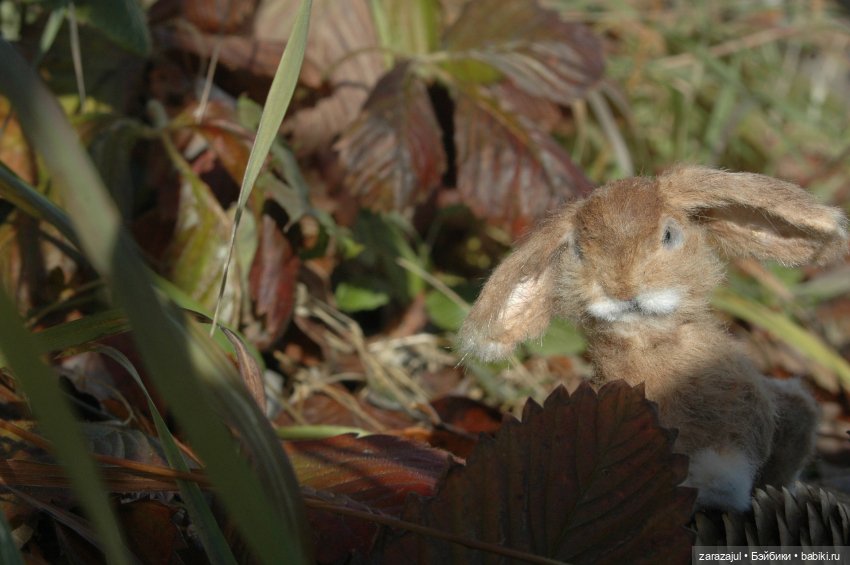 Маленький зайчик. Осенняя встреча (фото 4)