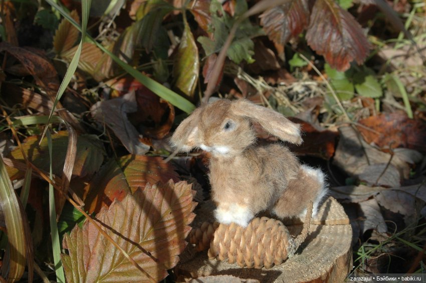 Маленький зайчик. Осенняя встреча (фото 5)