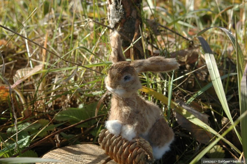 Маленький зайчик. Осенняя встреча