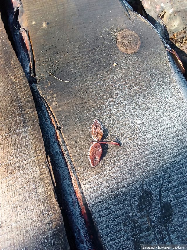 Маленький зайчик. Осенняя встреча