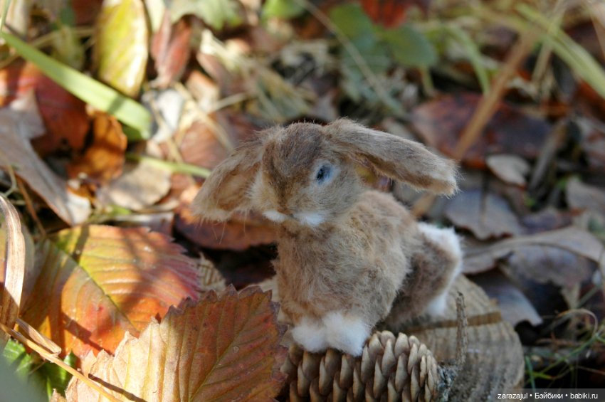 Маленький зайчик. Осенняя встреча (фото 3)