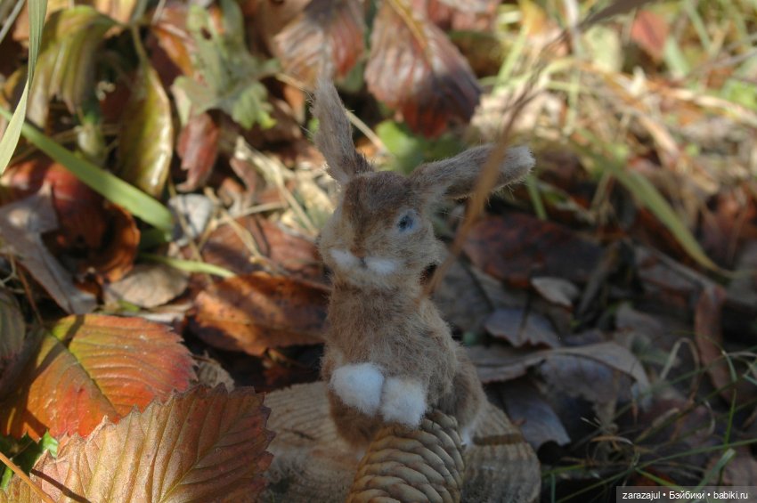 Маленький зайчик. Осенняя встреча (фото 8)