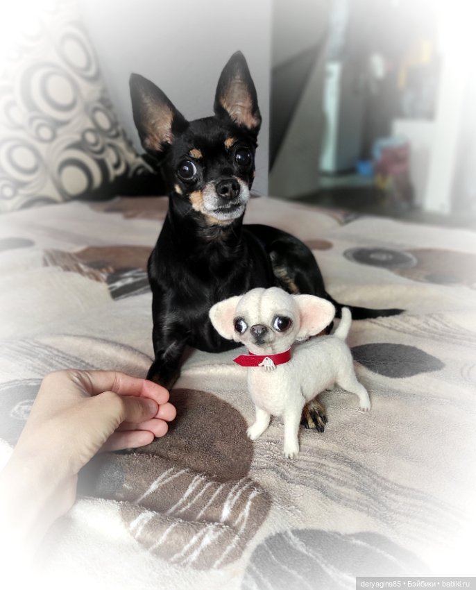 Щенок микро чихуашки — Валяные игрушки из шерсти: сухое валяние (фото 4)