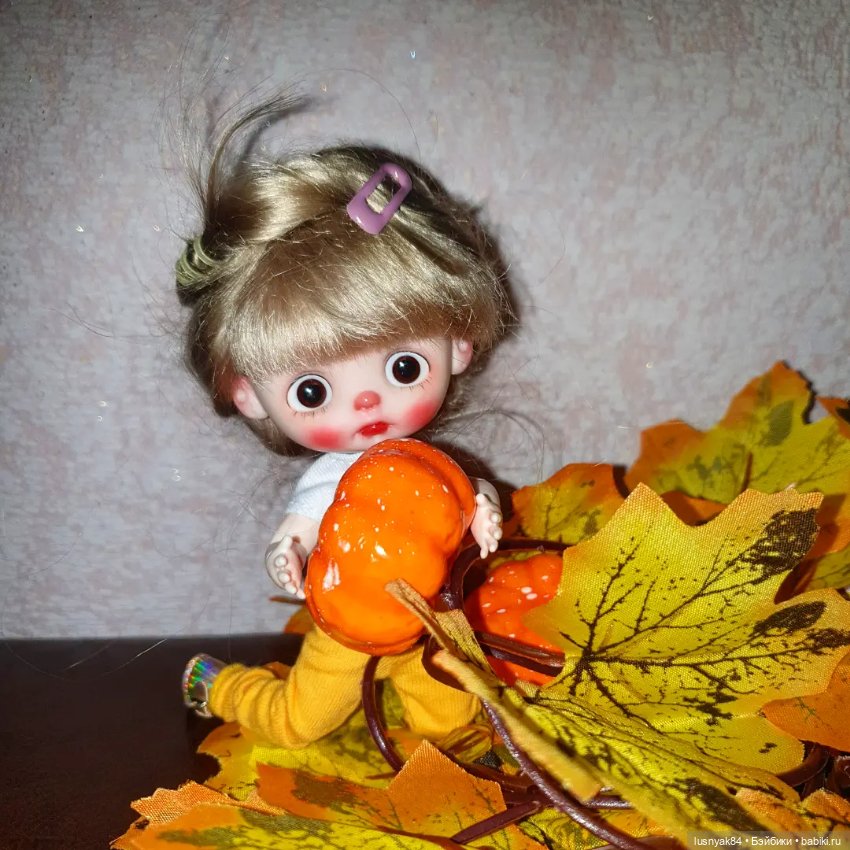 Осенняя пора 🍁🍂 — Куклы и тела Obitsu 11 (Ob11): гибриды (фото 3)