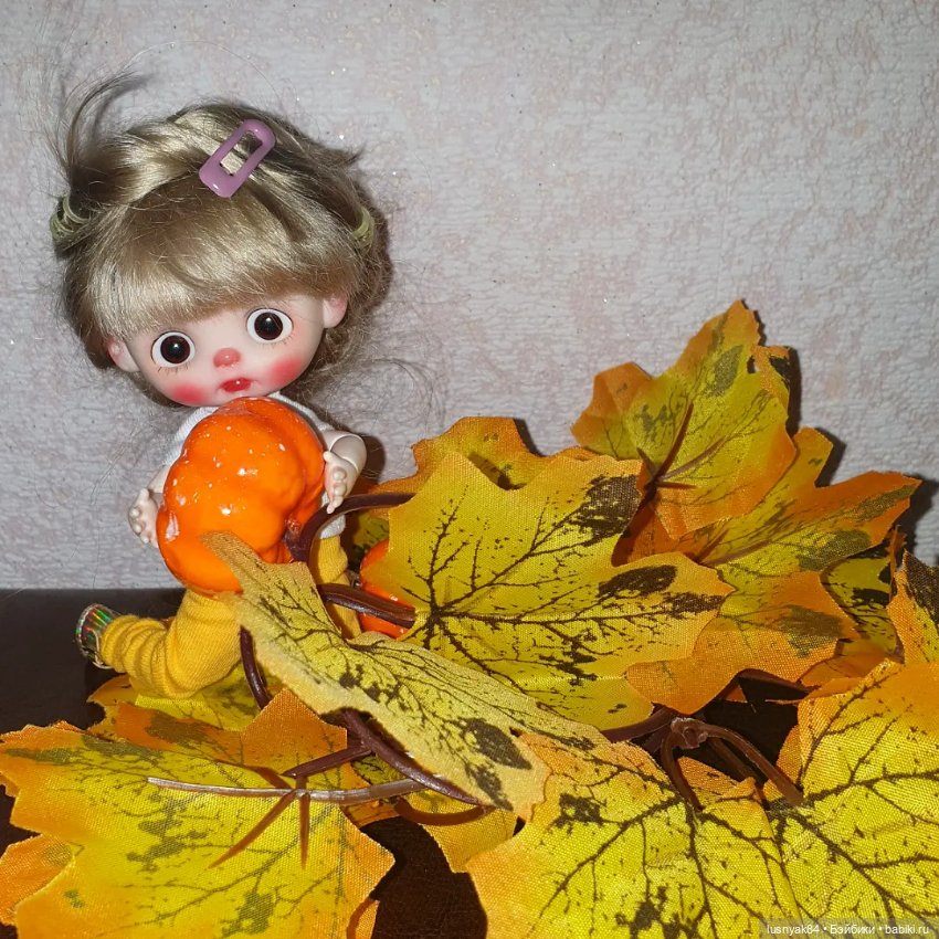 Осенняя пора 🍁🍂 — Куклы и тела Obitsu 11 (Ob11): гибриды (фото 2)