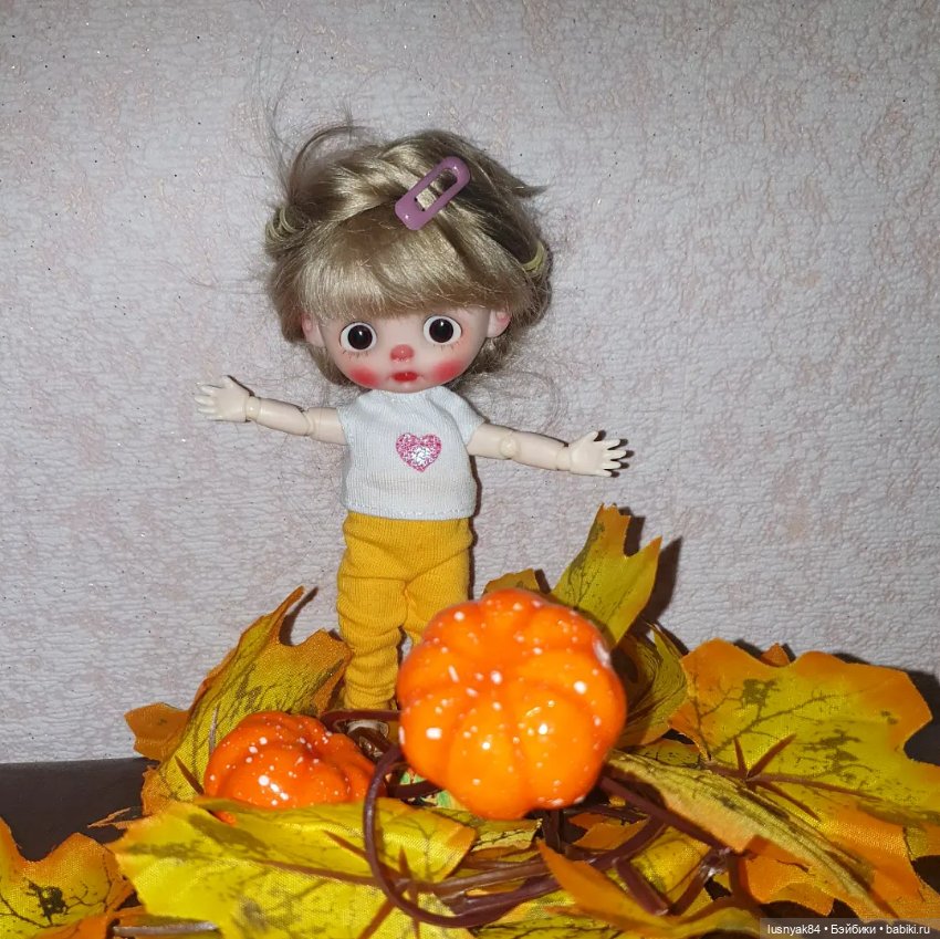 Осенняя пора 🍁🍂 — Куклы и тела Obitsu 11 (Ob11): гибриды