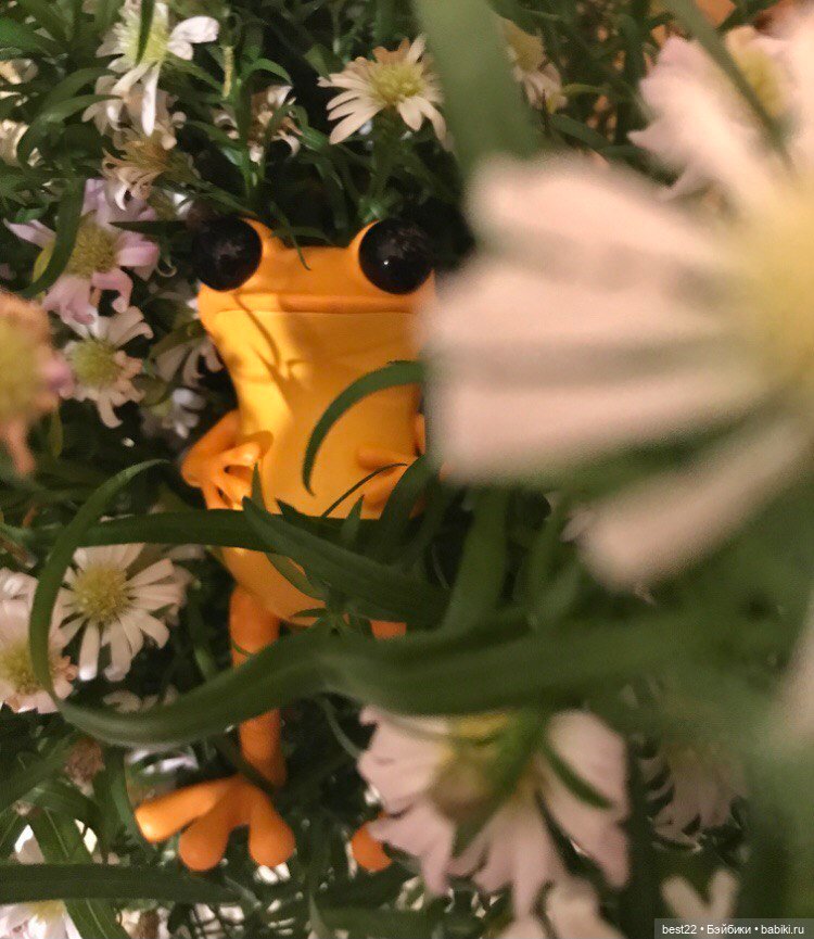 Лягушки Apo Frog от Twelvedot