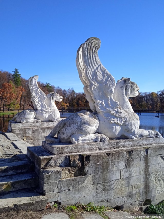 Дежа Вю в Марфино — Фэшн