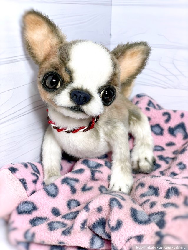 Roo🐾🐶 — Реалистичные игрушки и звери (Натюр): собаки (фото 3)