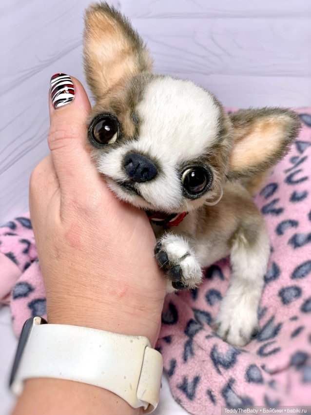 Roo🐾🐶 — Реалистичные игрушки и звери (Натюр): собаки (фото 9)