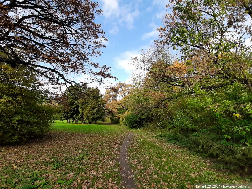 Паола Рейна — Куклы Paola Reina (Паола Рейна): новинки